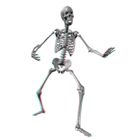 Skeleton with teeth